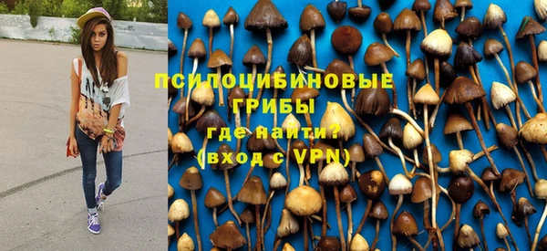 ПСИЛОЦИБИНОВЫЕ ГРИБЫ Алексин