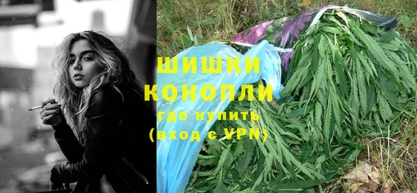 ПСИЛОЦИБИНОВЫЕ ГРИБЫ Алексин