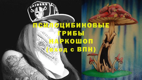 соль ск Алзамай