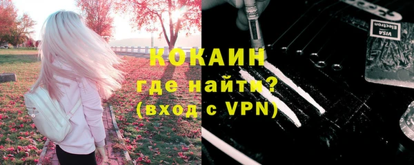 ПСИЛОЦИБИНОВЫЕ ГРИБЫ Алексин