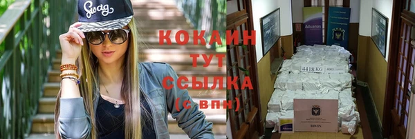 ПСИЛОЦИБИНОВЫЕ ГРИБЫ Алексин